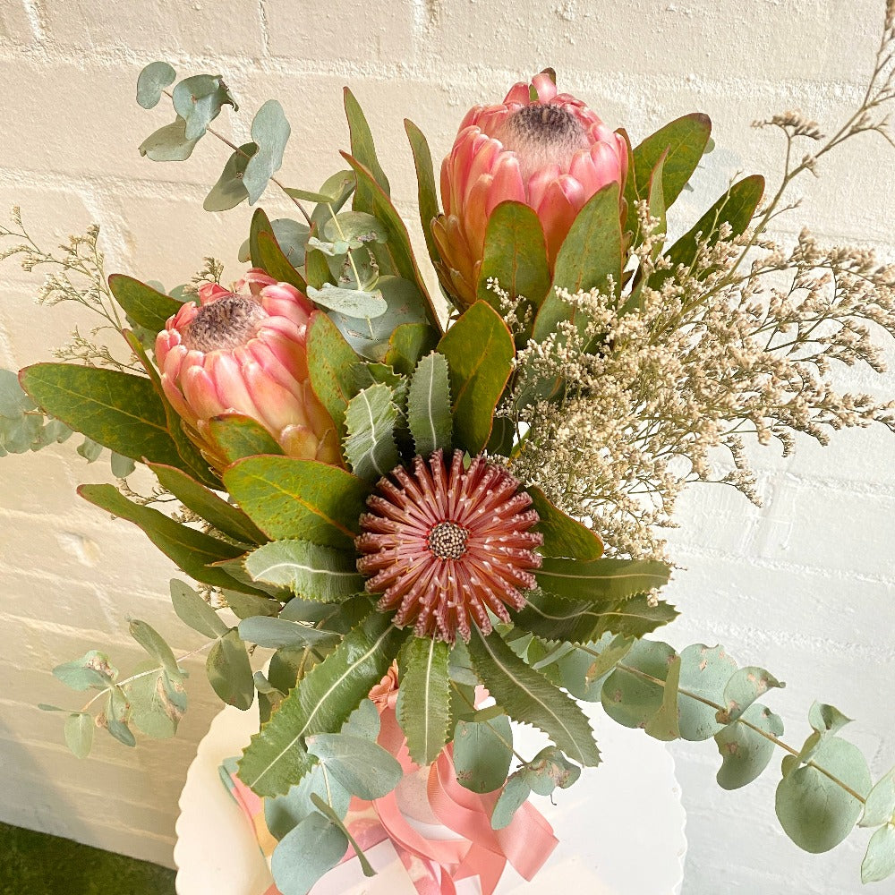 Australian Native flowers pink ice proteas with gum in white vase