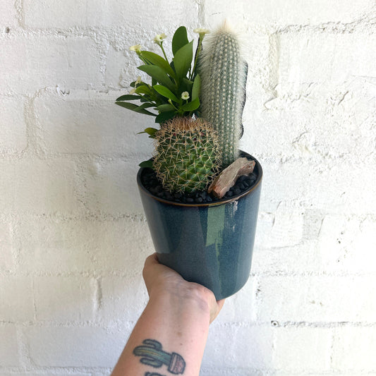 A ceramic pot with 2 cactus varieties and a flowering succulent.