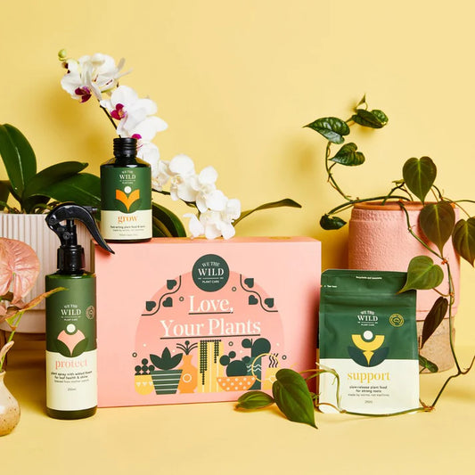we the wild house plant care products