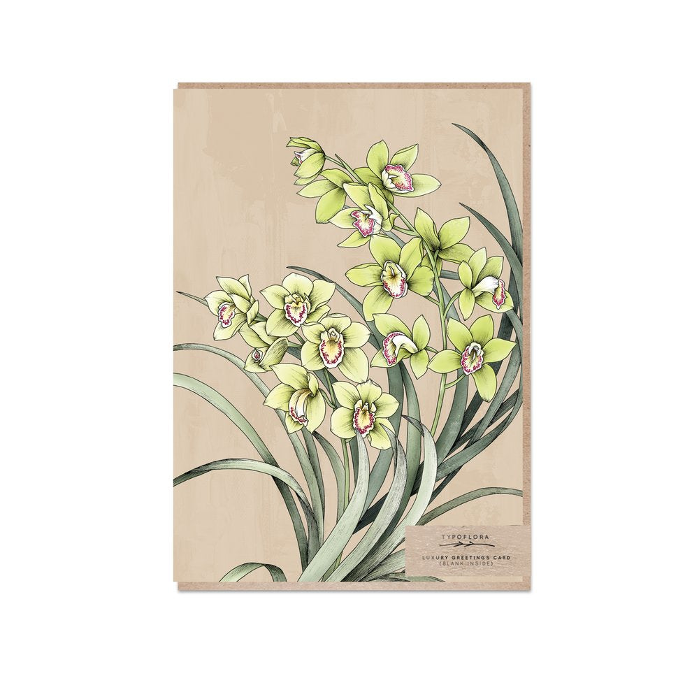 Orchids on a greeting card