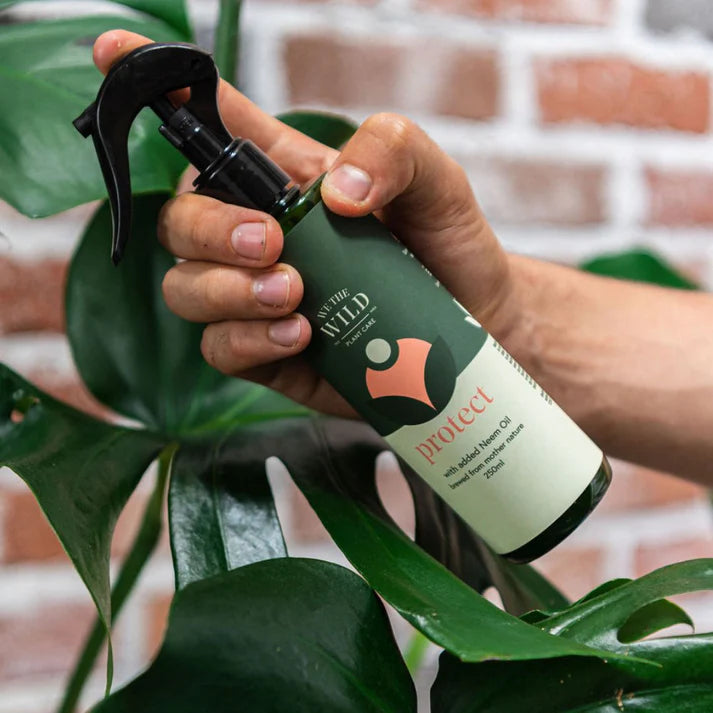 organic leaf spray with leaf shine