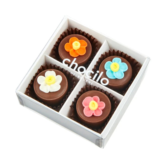 4 Pack Milk Chocolate Hazelnut Praline Flower Pot Gift Box - 50g