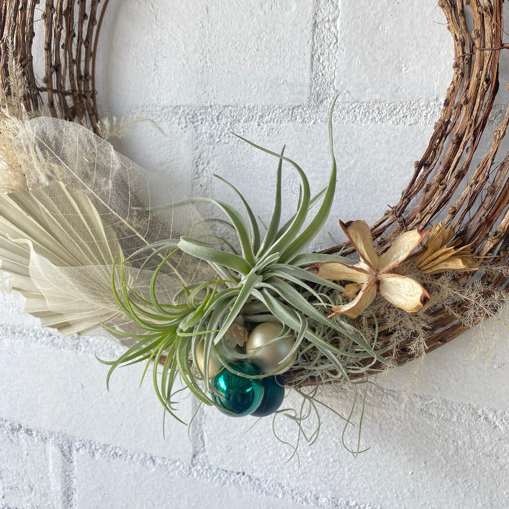 Air plant christmas wreath close up