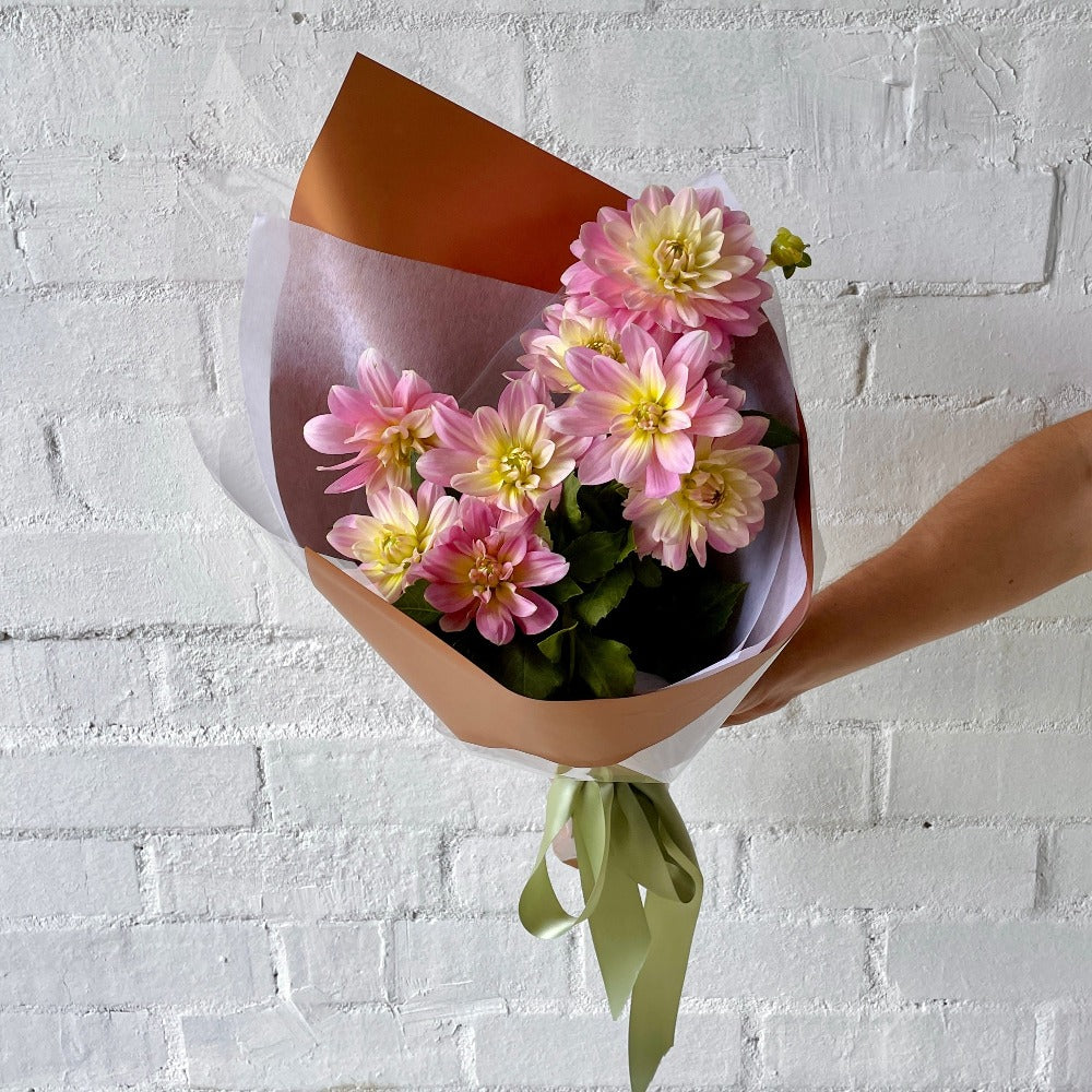 Close-up of vibrant pink dahlias