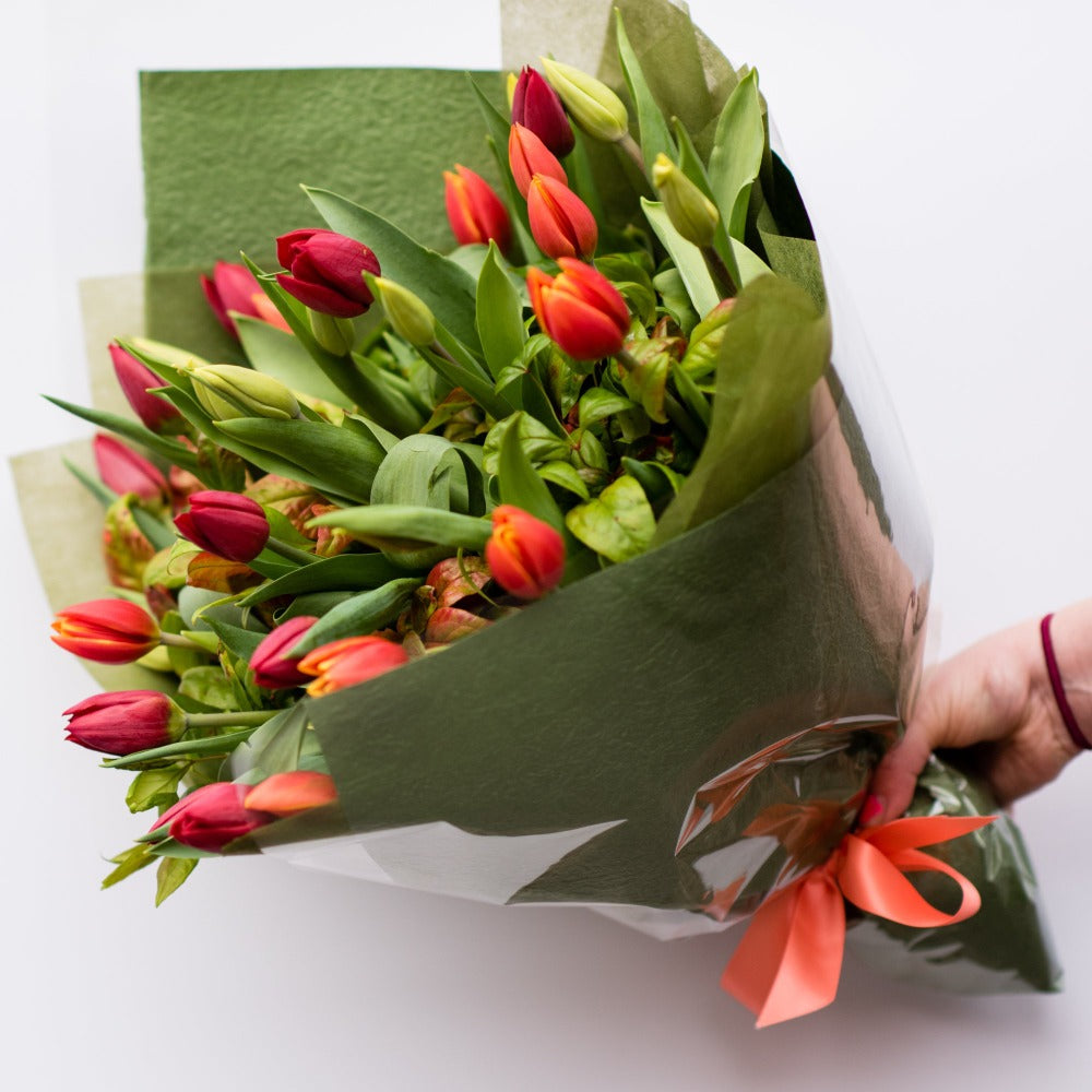 Tulips Bunch