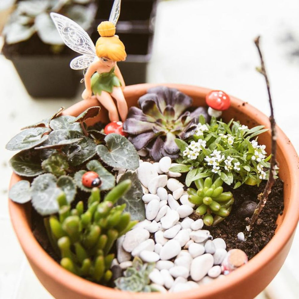 fairy garden