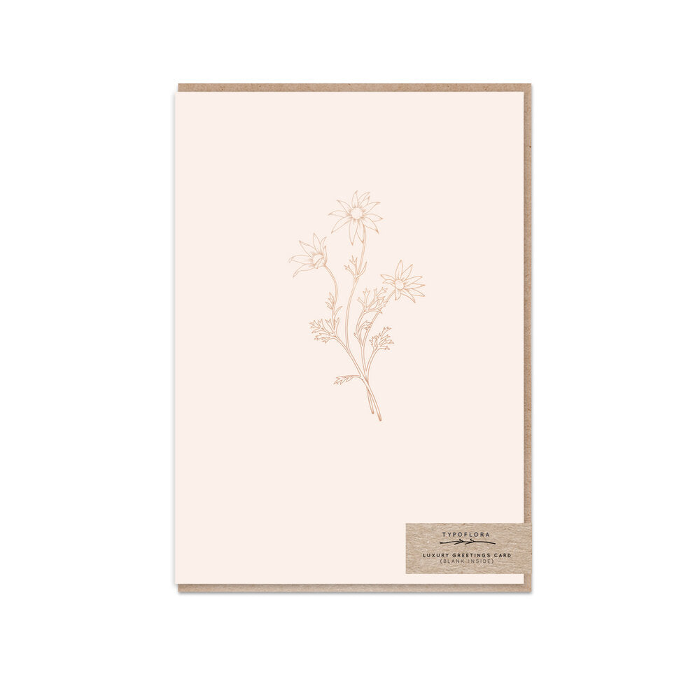 Flannel flower greeting card