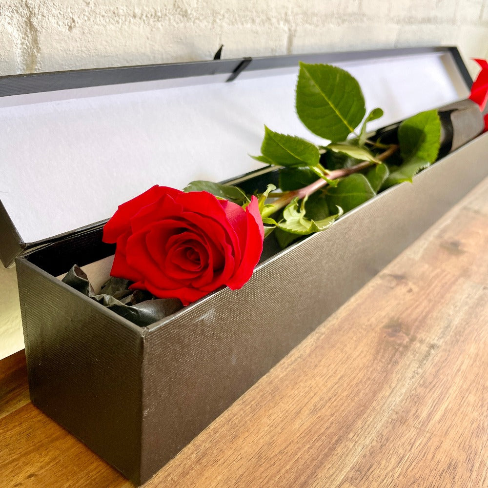 single long stem red rose in a premium back box